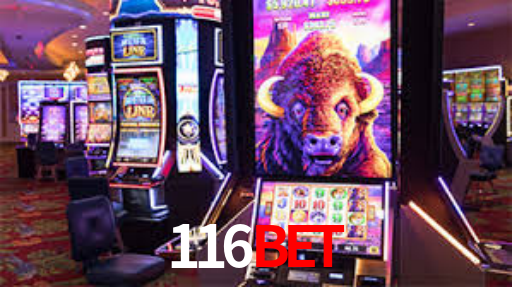116Bet